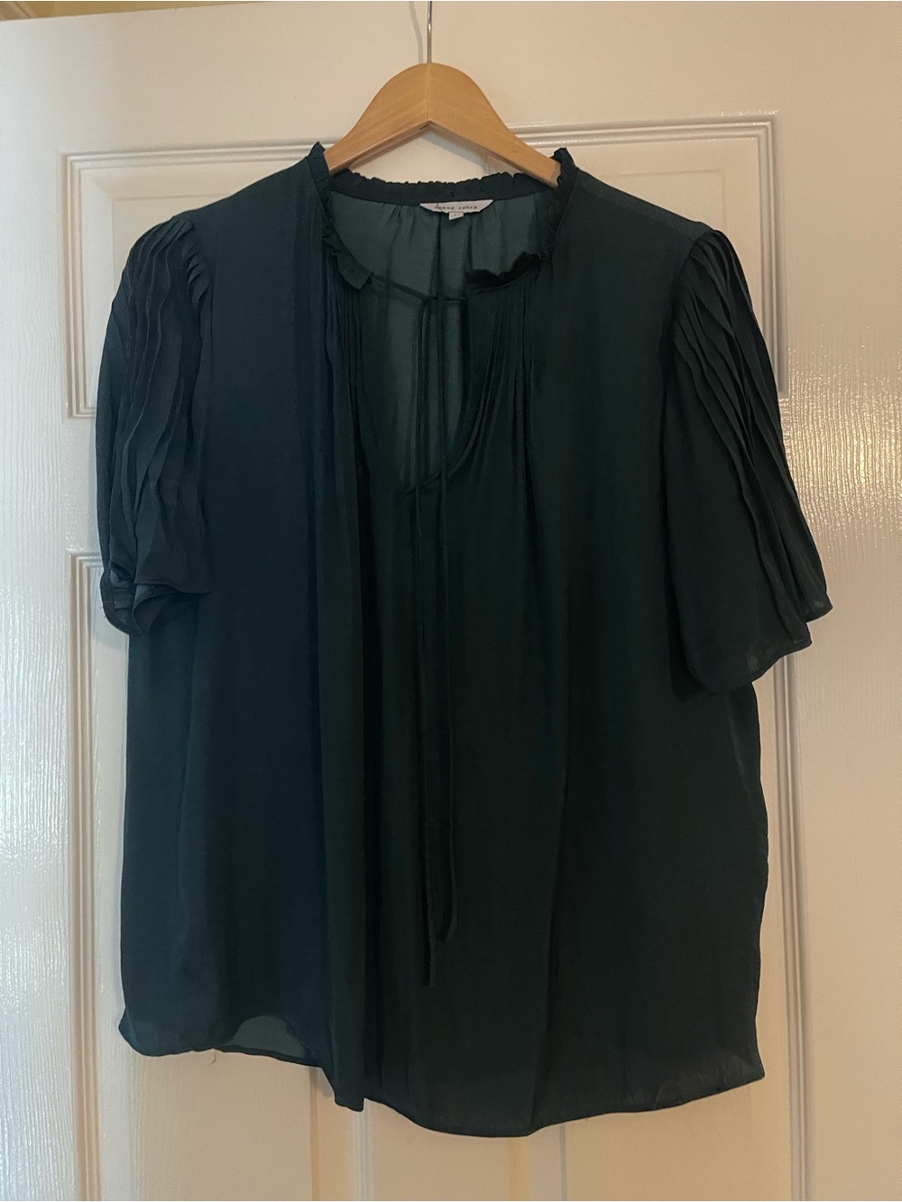 Naked Zebra Teal Short-Sleeve Tie-Front Blouse